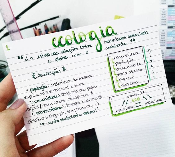 Resumo de estudos sobre Ecologia no Enem, destacando definições e conceitos chave como população, comunidade, ecossistema e biosfera, em um esquema de revisão.