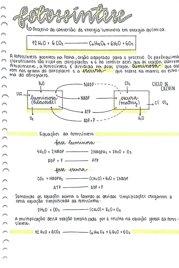 mapa mental do processo de fotossíntese