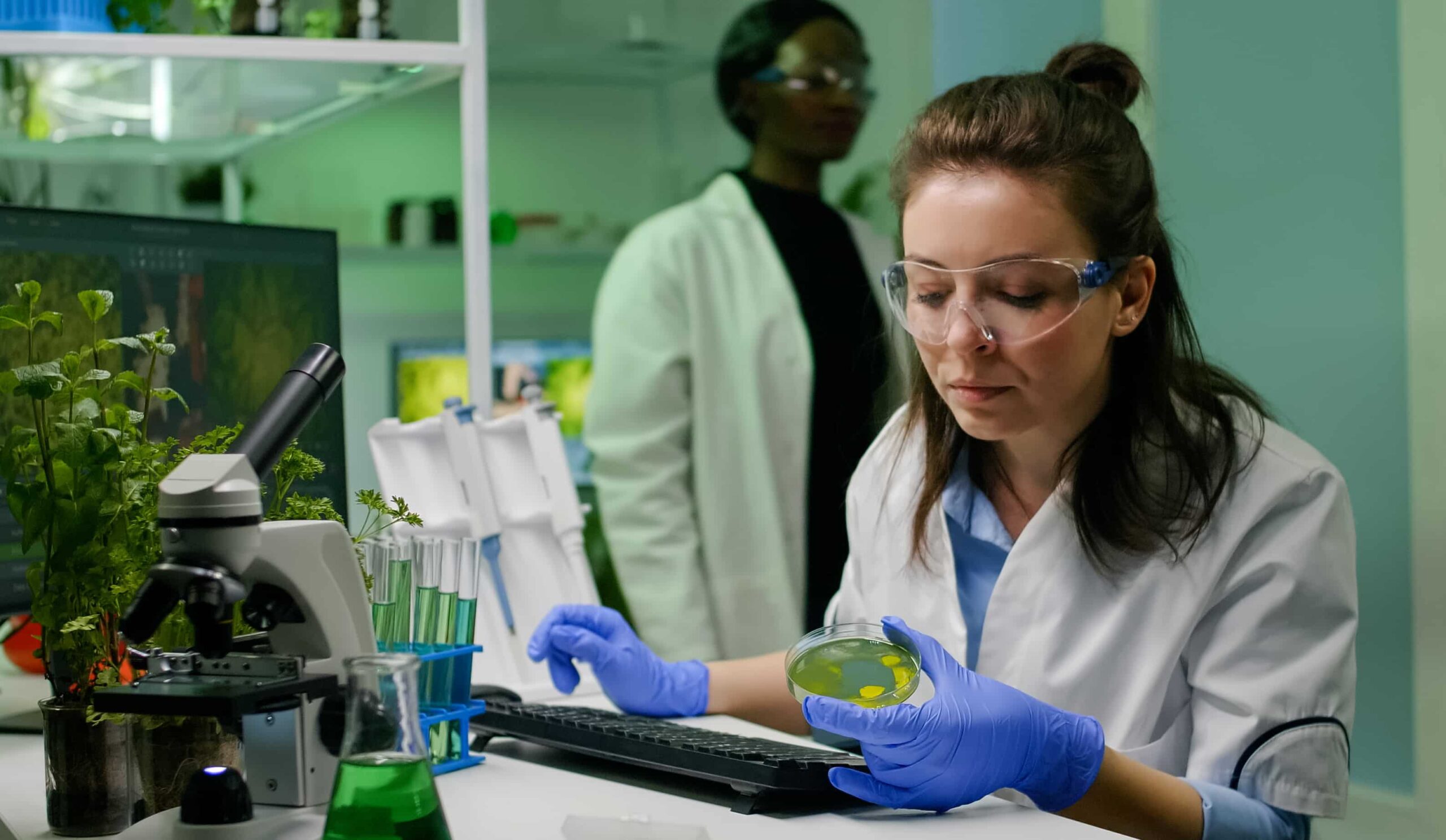 Biomédica em laboratório usando jaleco branco e luvas, analisando amostra em placa de Petri enquanto trabalha em frente a um microscópio e tubos de ensaio.