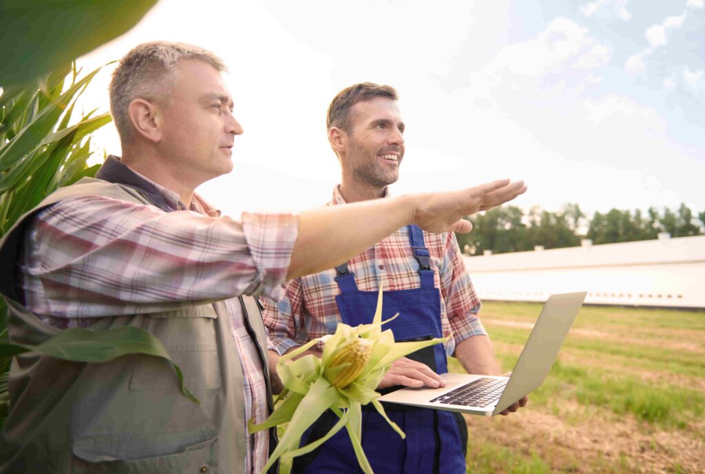Engenheiro agrônomo orientando produtor rural no campo com laptop e espiga de milho na mão, analisando produção agrícola.