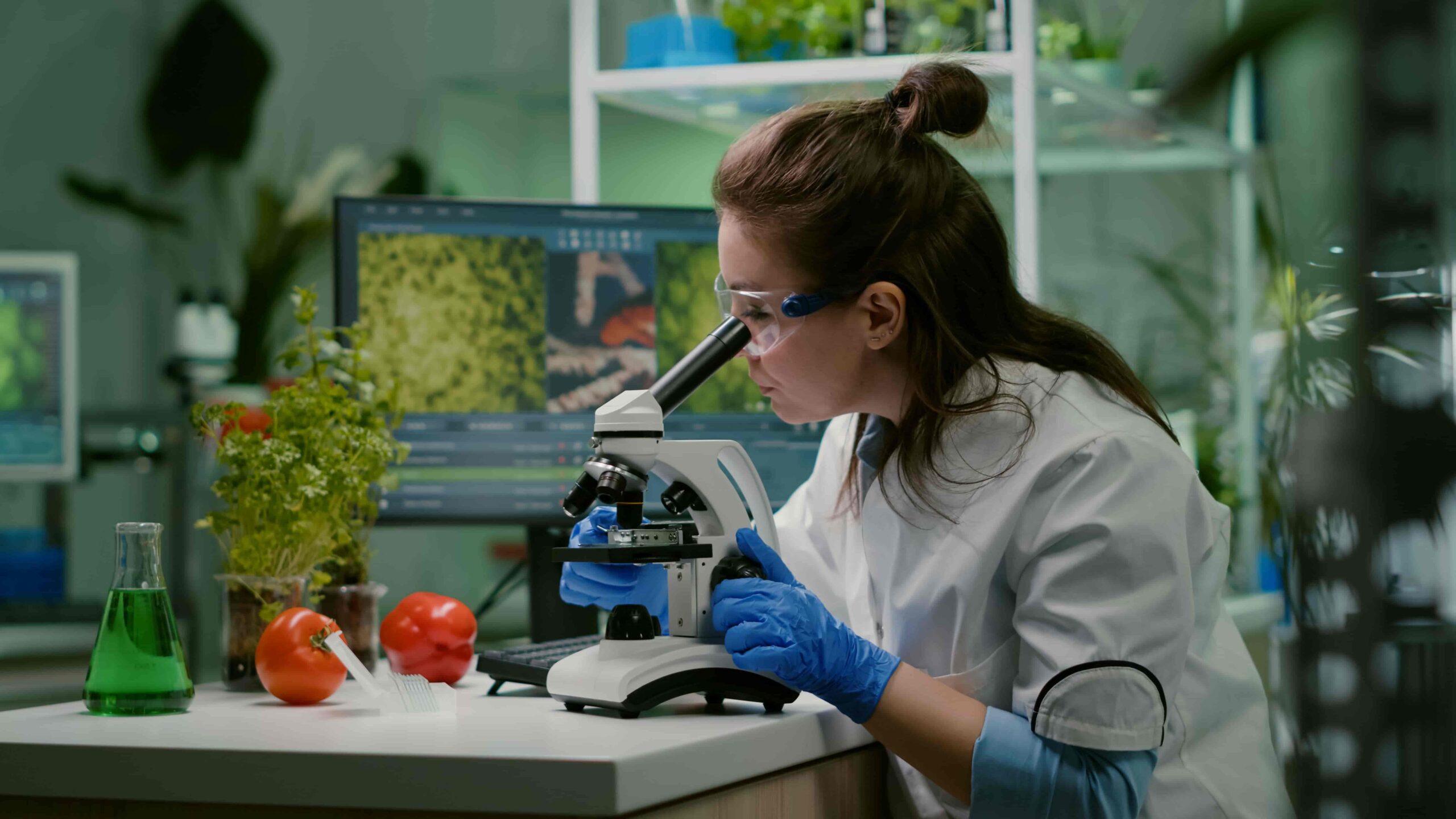 Estudante de Ciências Biológicas analisando amostras vegetais em laboratório, utilizando microscópio e equipamentos de pesquisa, com tomates e plantas ao fundo.