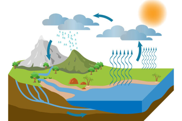 Ilustração do ciclo da água, mostrando o sol aquecendo um lago, causando evaporação. O vapor d'água sobe e forma nuvens, que se movem para as montanhas. As nuvens precipitam chuva sobre as montanhas e florestas. A água da chuva escorre pelas montanhas, formando rios que fluem de volta para o lago e também se infiltra no solo, formando lençóis freáticos subterrâneos que também deságuam no lago.