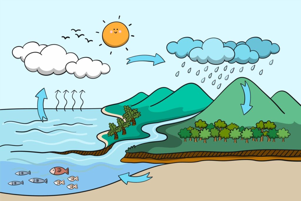 Desenho ilustrando todas as etapas do ciclo da agua:  evaporação (e transpiração), condensação, precipitação, escoamento superficial, infiltração no solo e fluxo de água subterrânea.