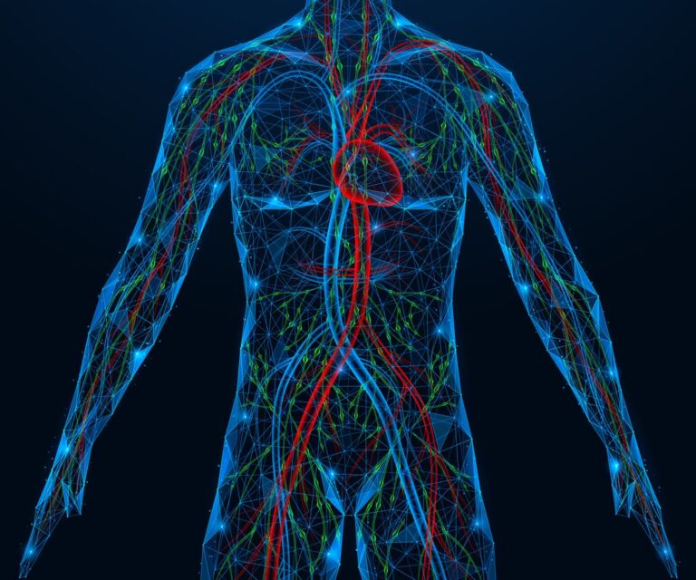 Ilustração digital do corpo humano destacando o sistema linfático, vasos linfáticos e circulação sanguínea em modelo anatômico com fundo escuro.