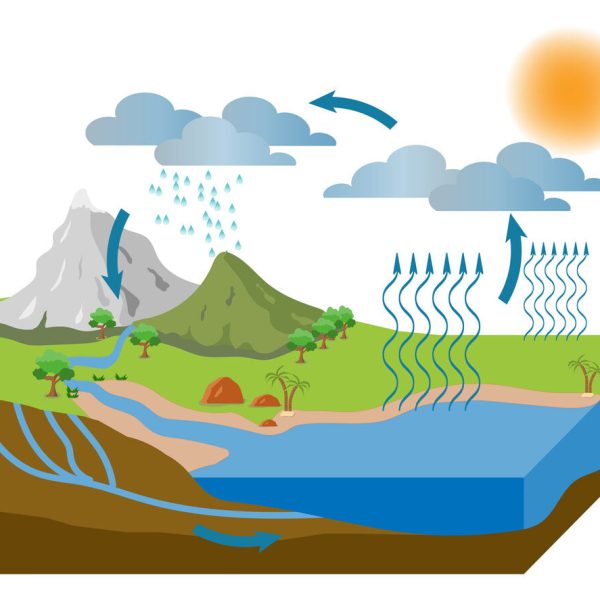 Ilustração do ciclo da água, mostrando o sol aquecendo um lago, causando evaporação. O vapor d'água sobe e forma nuvens, que se movem para as montanhas. As nuvens precipitam chuva sobre as montanhas e florestas. A água da chuva escorre pelas montanhas, formando rios que fluem de volta para o lago e também se infiltra no solo, formando lençóis freáticos subterrâneos que também deságuam no lago.