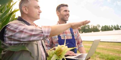 Engenheiro agrônomo orientando produtor rural no campo com laptop e espiga de milho na mão, analisando produção agrícola.